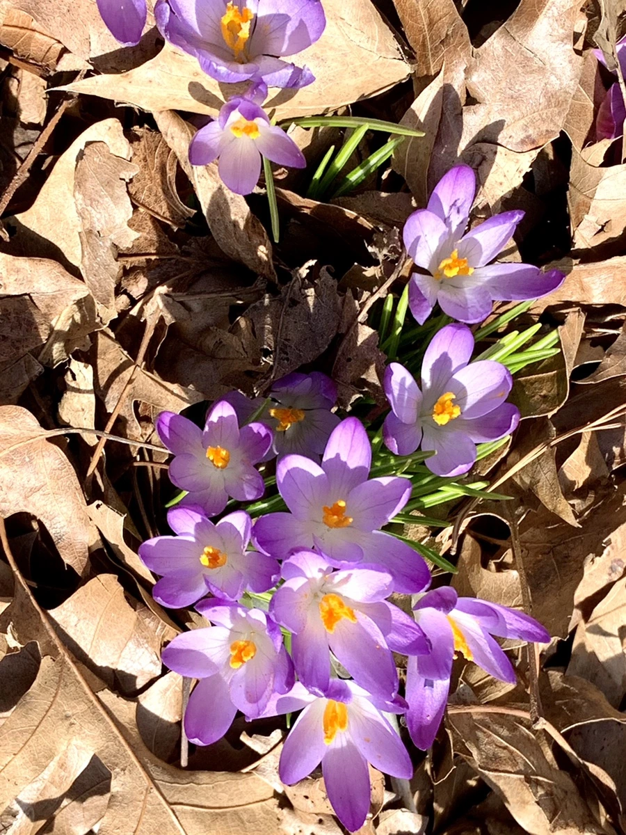 IMG_9643.jpg?type=w966