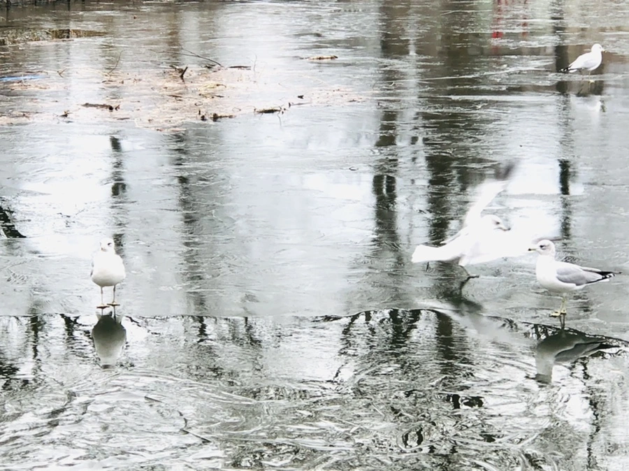 IMG_8944.jpg?type=w966