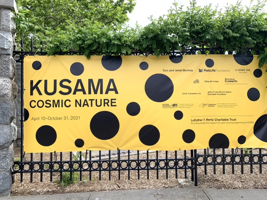 IMG_8274.jpg?type=w966