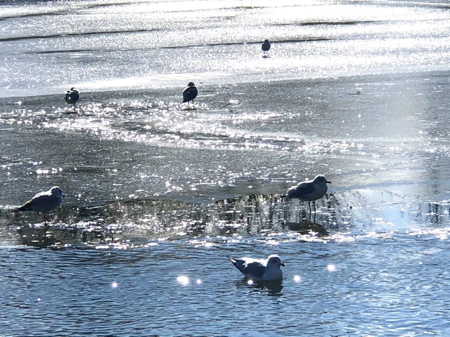 IMG_6864.jpg?type=w966