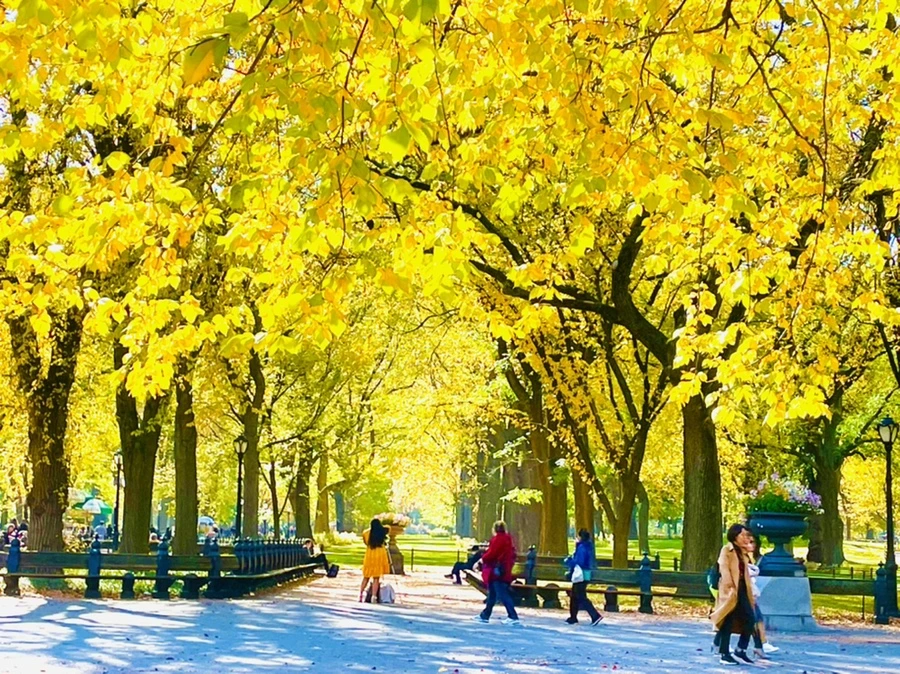 IMG_1616.jpg?type=w966