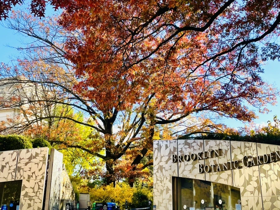 IMG_3207.jpg?type=w966