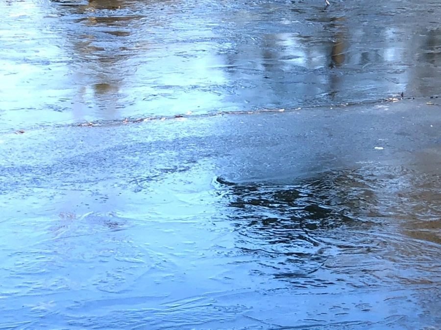 IMG_1443.jpg?type=w966