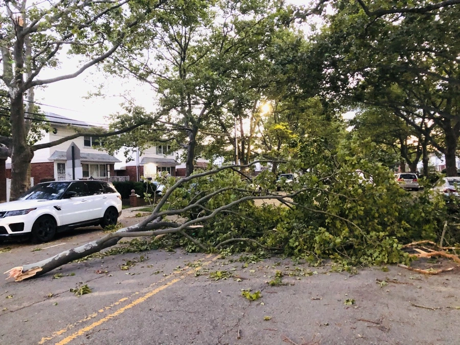 IMG_5835.jpg?type=w966