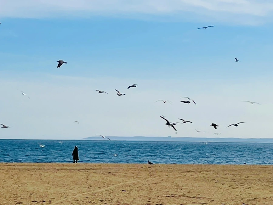 IMG_5035.jpg?type=w966