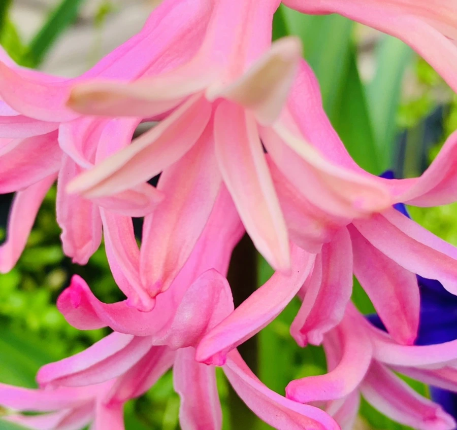 IMG_5874.jpg?type=w966