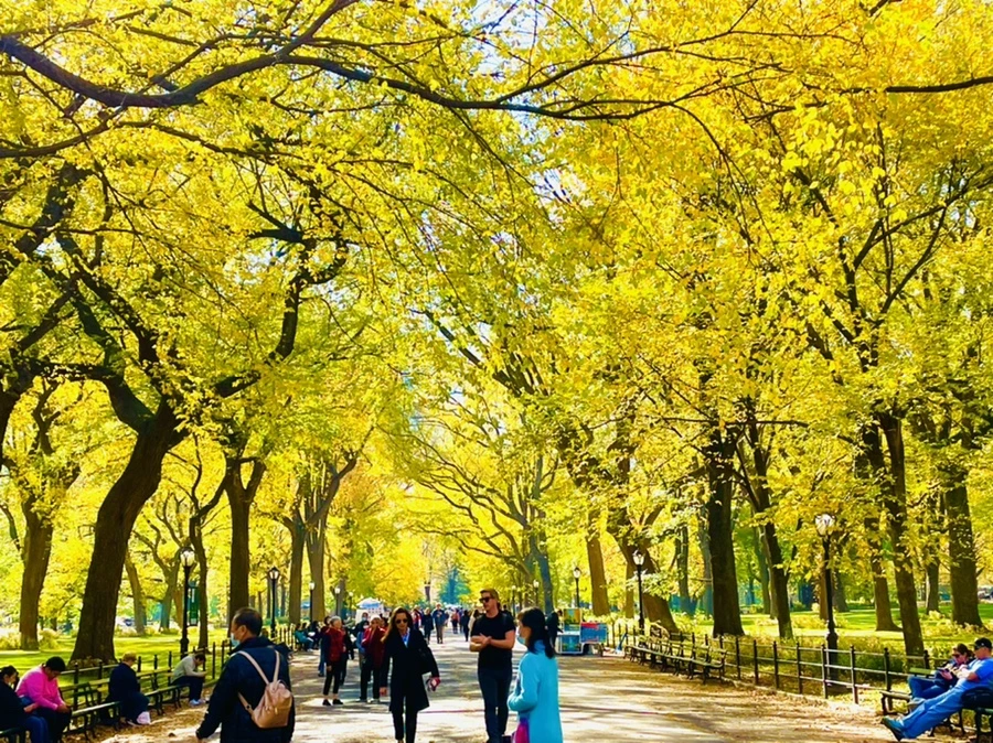 IMG_1583.jpg?type=w966