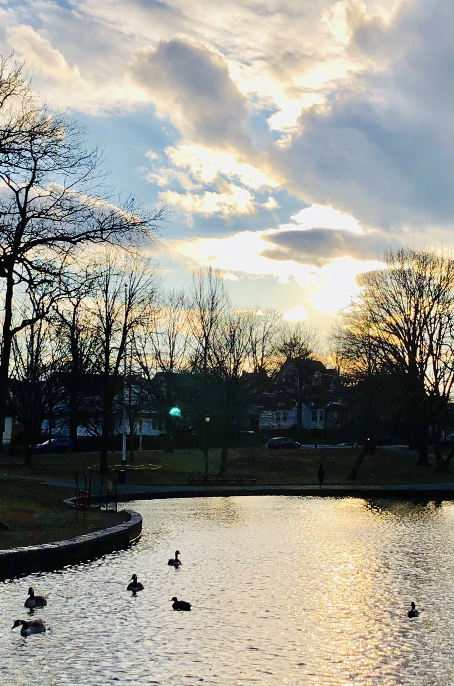 IMG_4409.jpg?type=w966