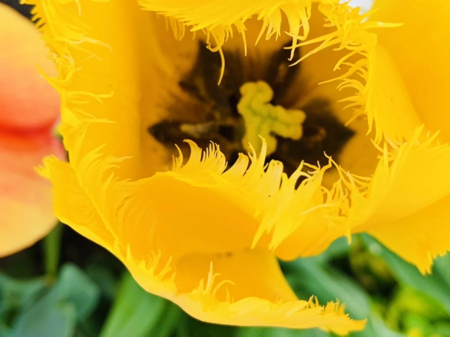 IMG_4275.jpg?type=w966