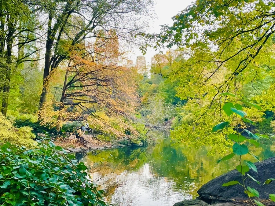 IMG_1523.jpg?type=w966