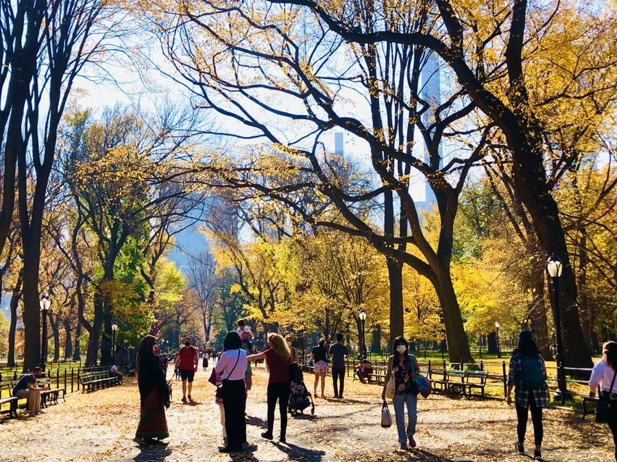 IMG_4255.jpg?type=w966