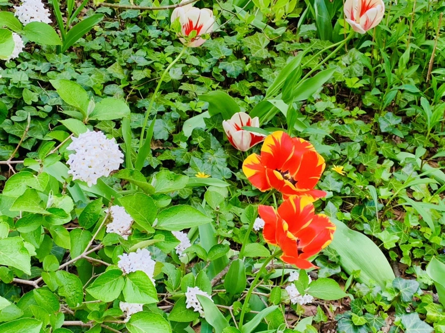 IMG_6887.jpg?type=w966