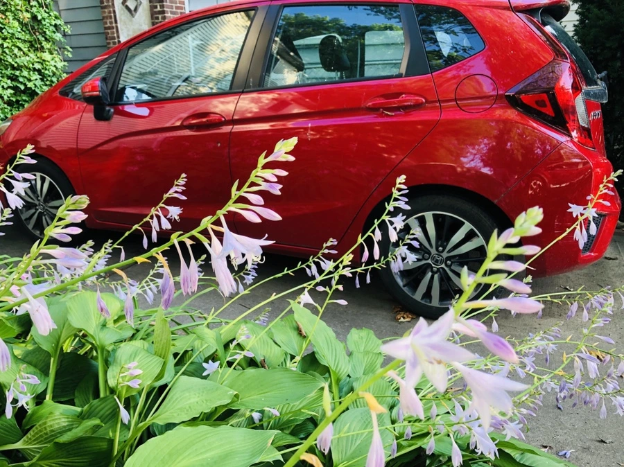 IMG_1868.jpg?type=w966