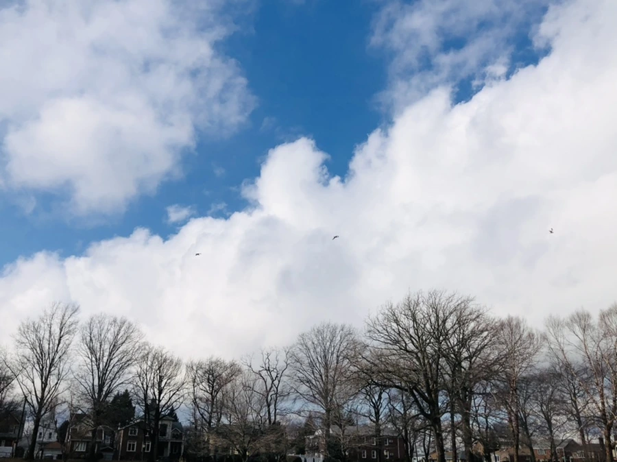 IMG_3507.jpg?type=w966