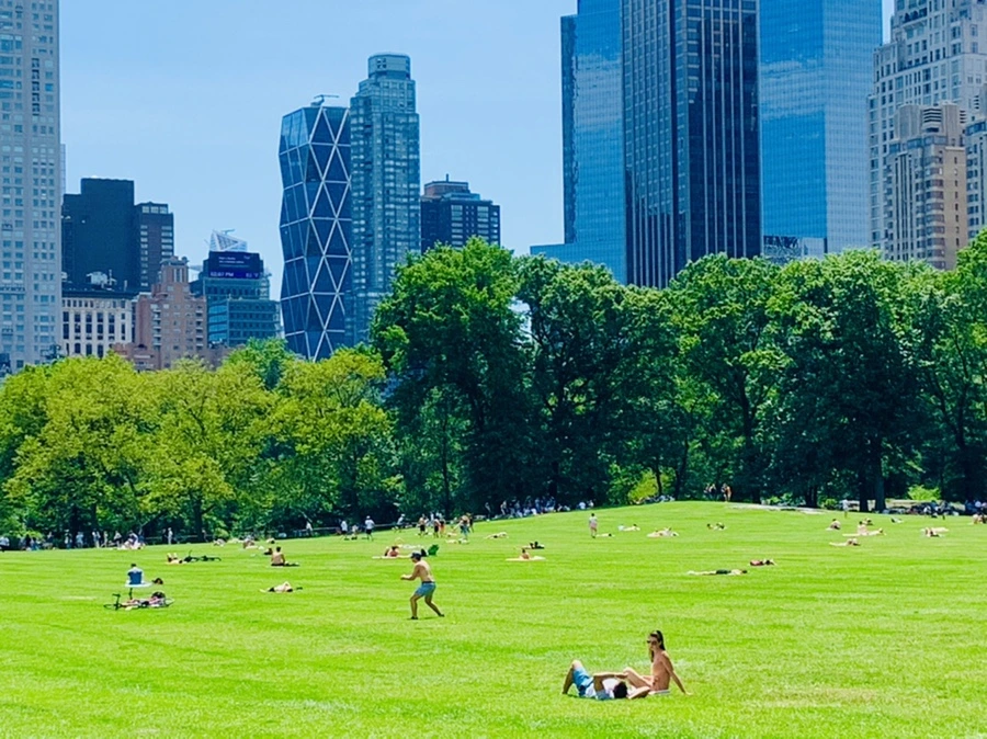 IMG_4951.jpg?type=w966