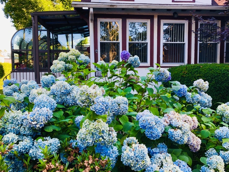 IMG_2563.jpg?type=w966