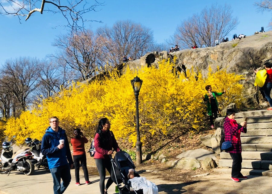 IMG_4494.jpg?type=w966