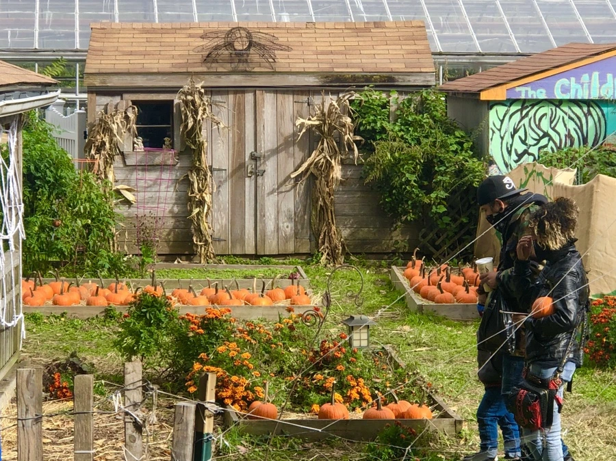 IMG_2828.jpg?type=w966