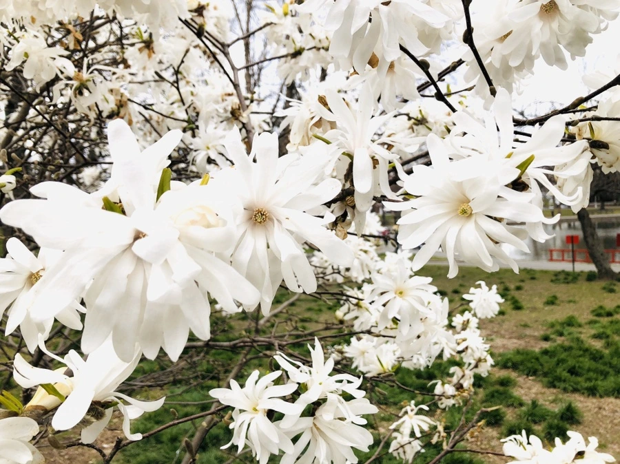 IMG_6948.jpg?type=w966