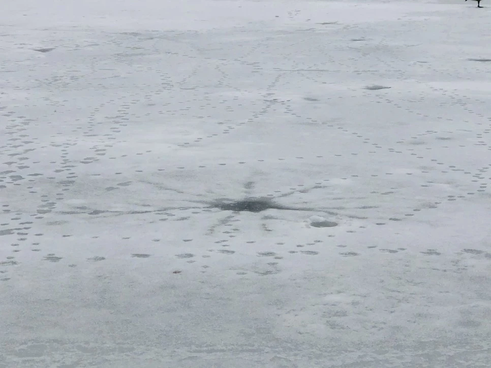 IMG_2705.jpg?type=w966