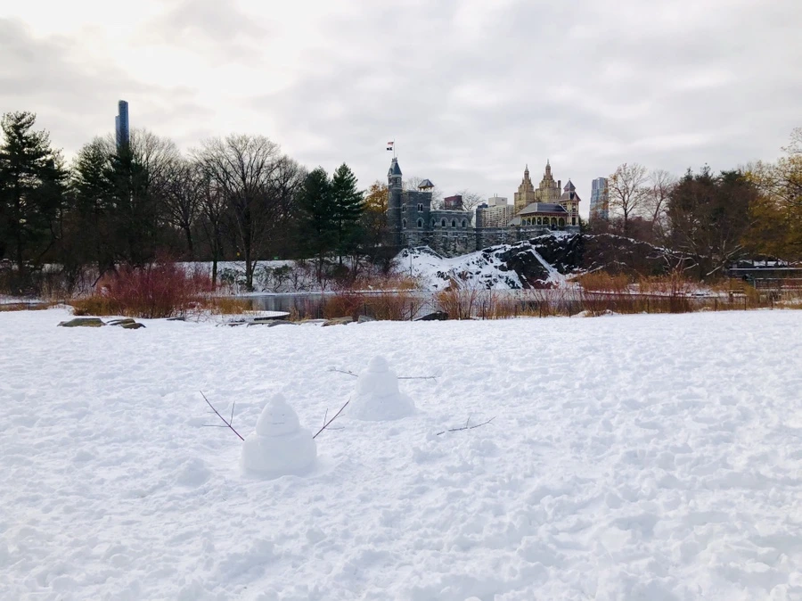 IMG_7319.jpg?type=w966