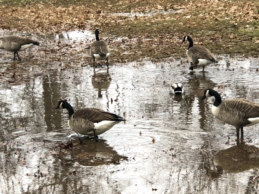 IMG_9503.jpg?type=w966