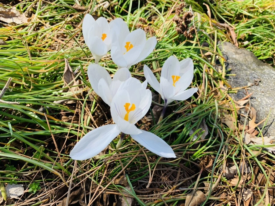 IMG_4370.jpg?type=w966