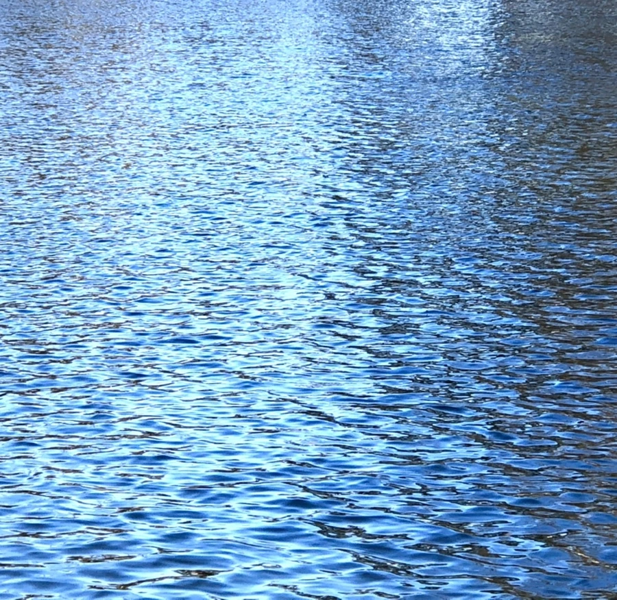 IMG_3810.jpg?type=w966