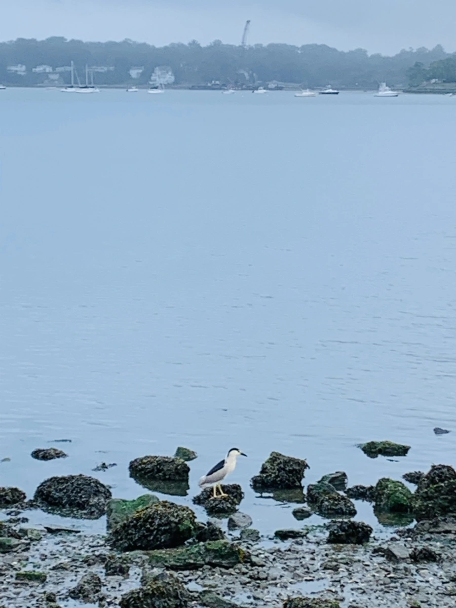 IMG_4790.jpg?type=w966