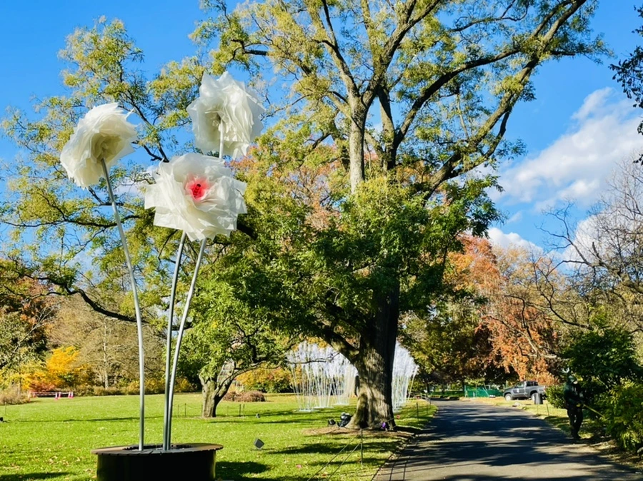 IMG_3150.jpg?type=w966