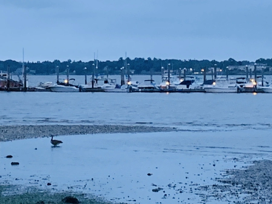 IMG_6738.jpg?type=w966