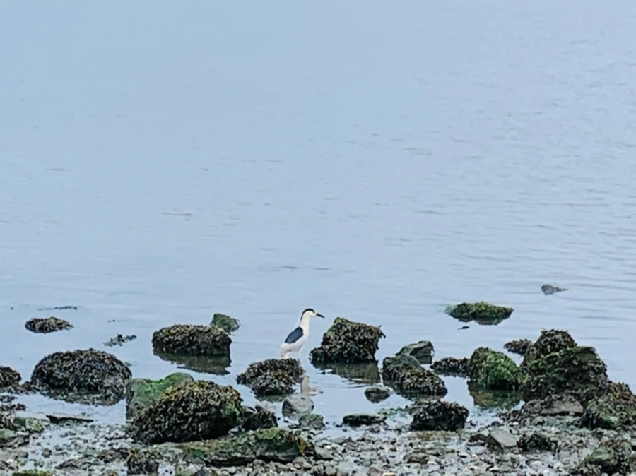 IMG_4791.jpg?type=w966