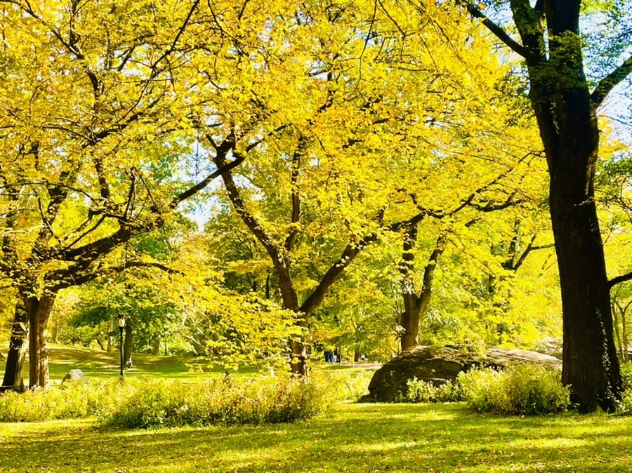 IMG_1576.jpg?type=w966