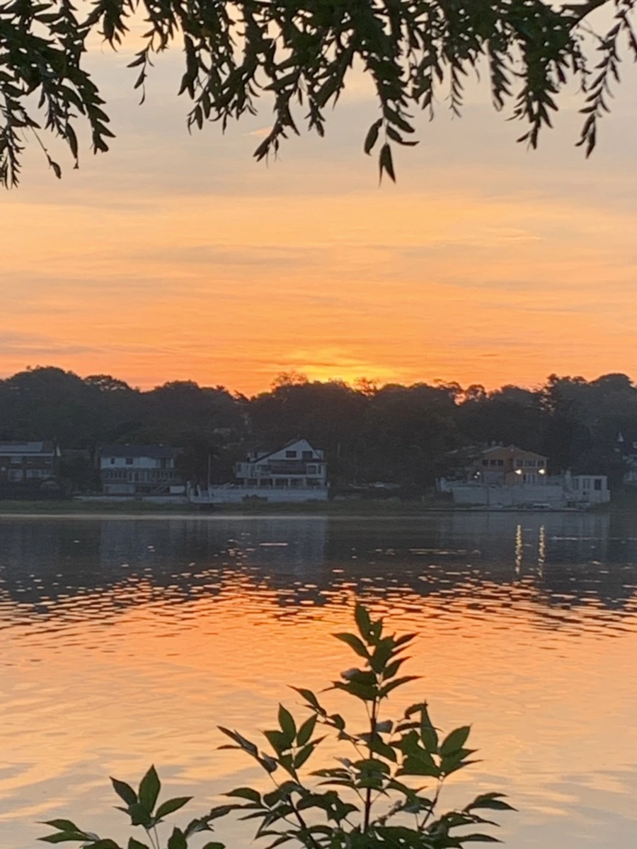 IMG_6795.jpg?type=w966