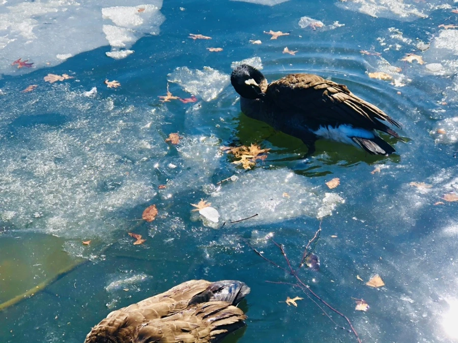 IMG_5164.jpg?type=w966