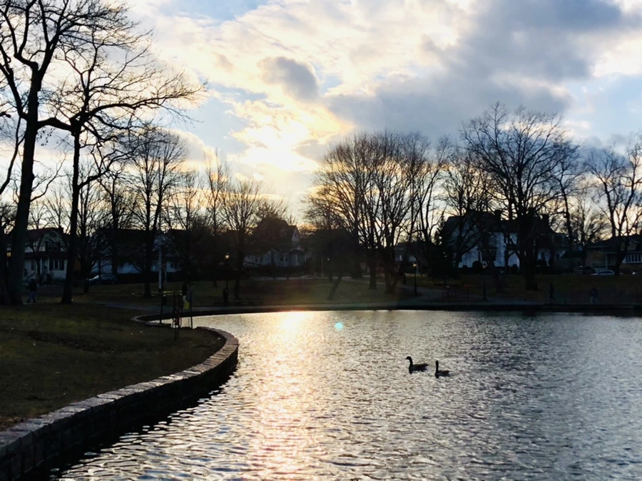 IMG_4403.jpg?type=w966