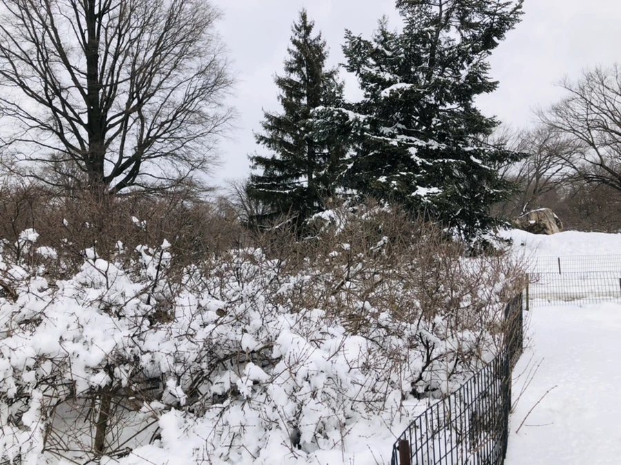 IMG_9550.jpg?type=w966