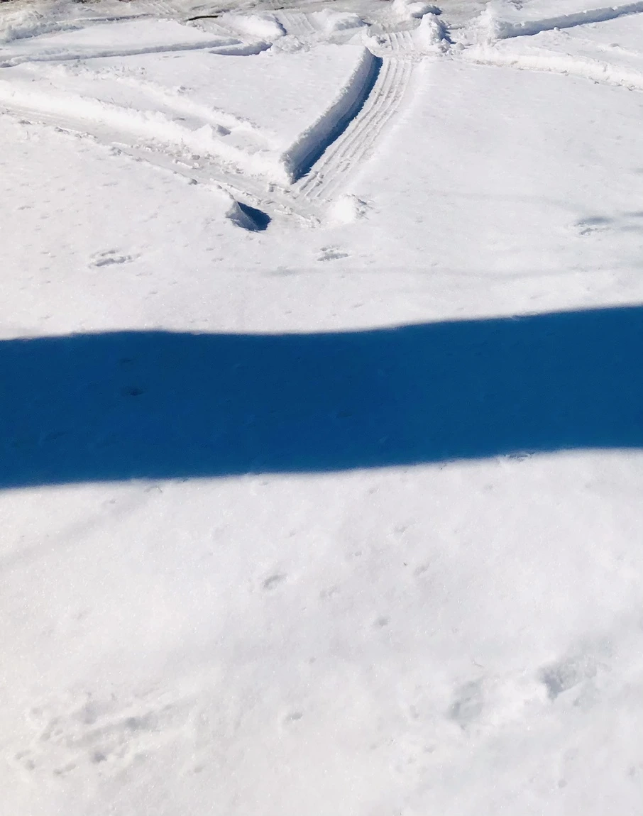 IMG_4011.jpg?type=w966