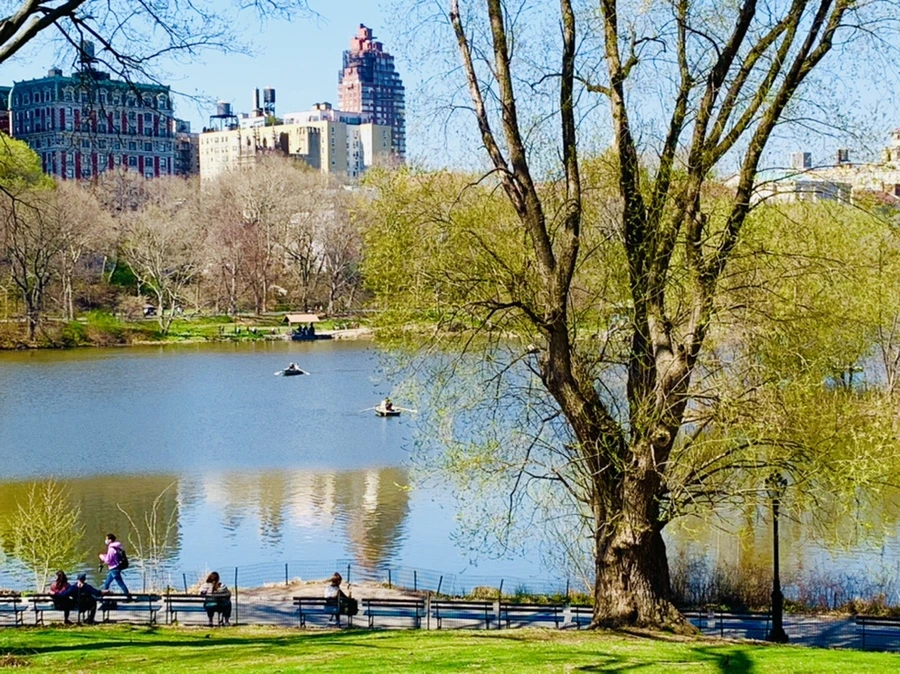 IMG_8958.jpg?type=w966