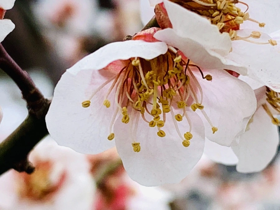 IMG_3583.jpg?type=w966