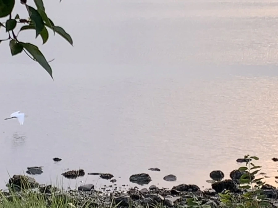 IMG_0667.jpg?type=w966