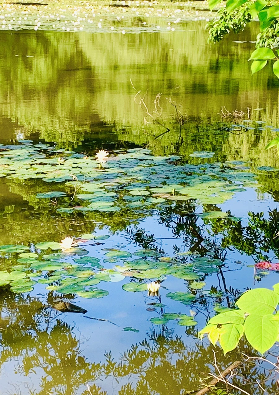 IMG_2103.jpg?type=w966