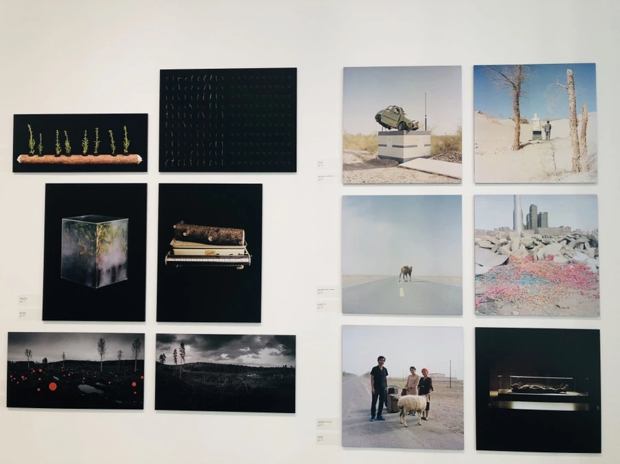 IMG_6226.jpg?type=w966