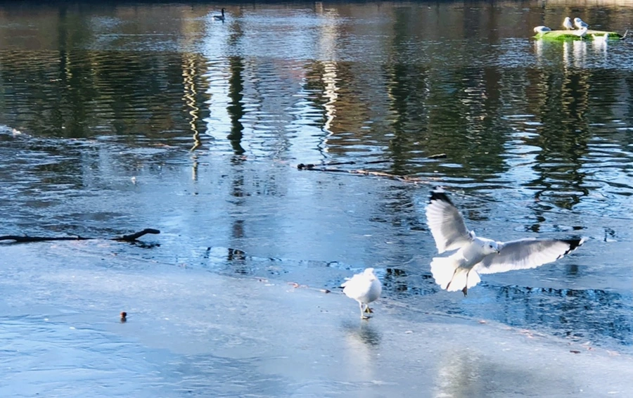 IMG_1841.jpg?type=w966