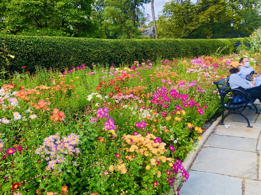 IMG_2032.jpg?type=w966