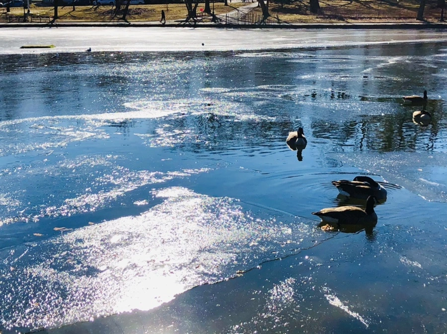 IMG_8045.jpg?type=w966