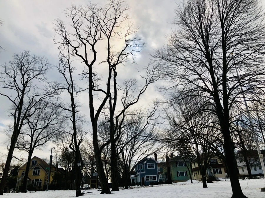 IMG_2865.jpg?type=w966