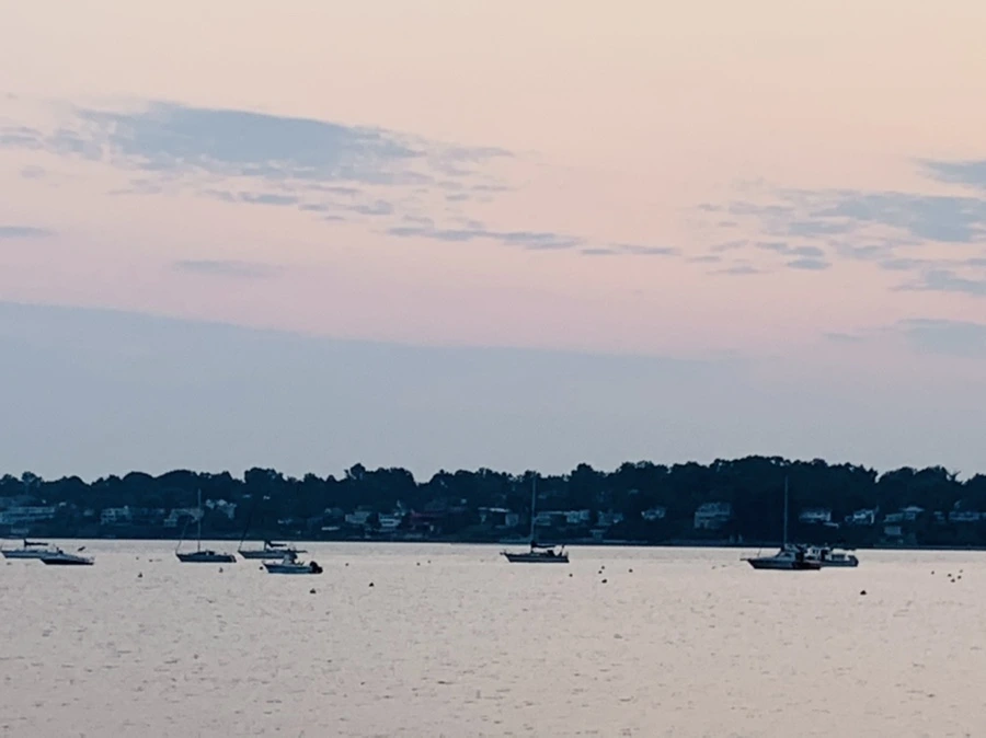 IMG_2381.jpg?type=w966