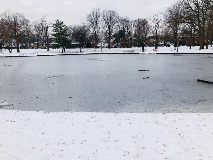 IMG_7562.jpg?type=w966