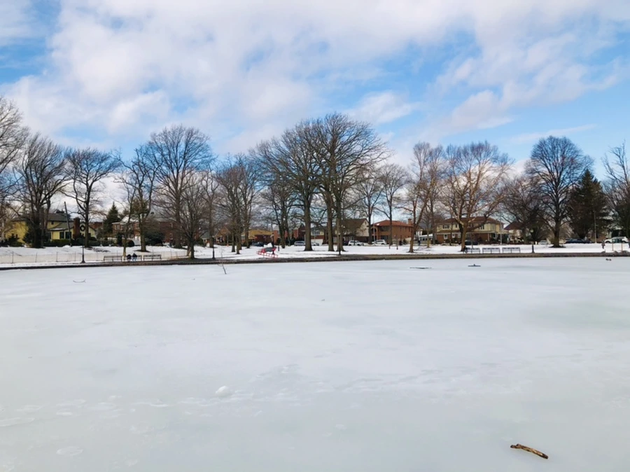 IMG_2890.jpg?type=w966